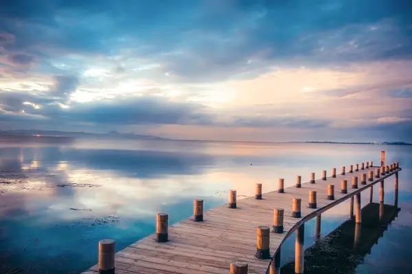 美食仙人脑做法